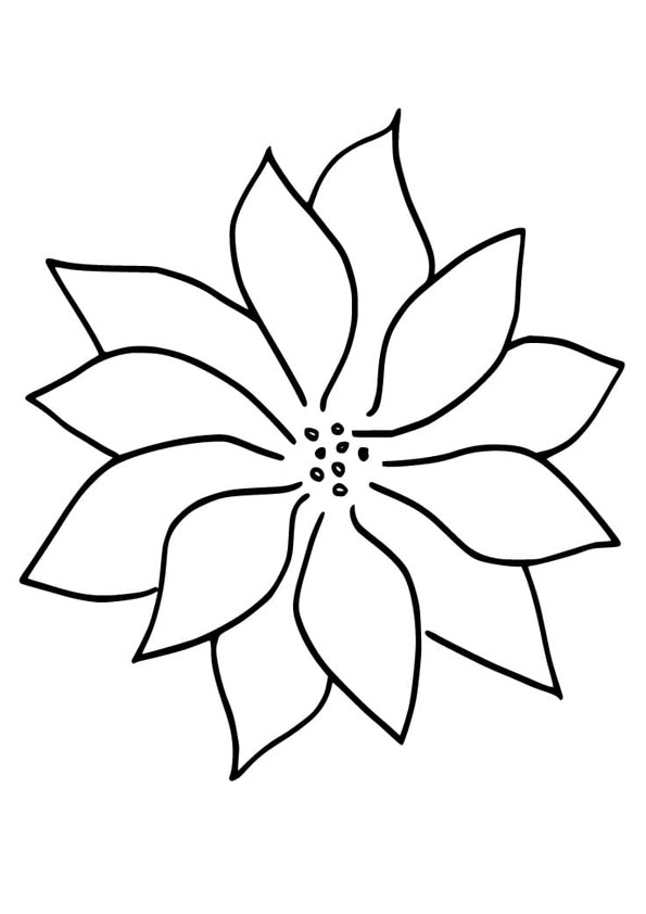 Coloring pages poinsettia flower coloring page for kids