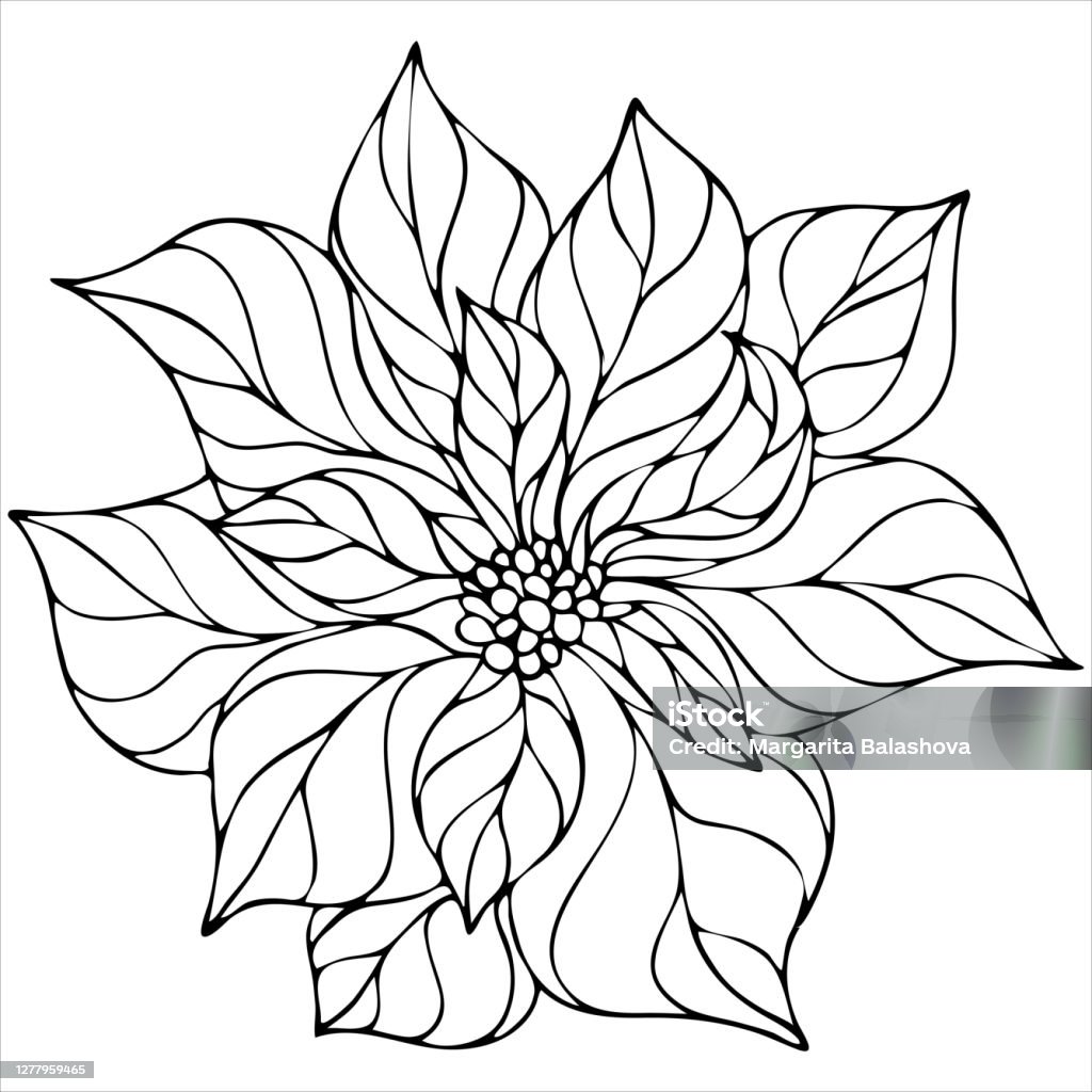 Poinsettia flower christmas star vector element christmas coloring book stock illustration
