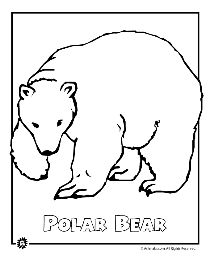 Polar bear bear coloring pages polar bear color polar bear coloring page