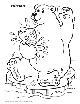 Polar bear amazing animals coloring page printable coloring pages