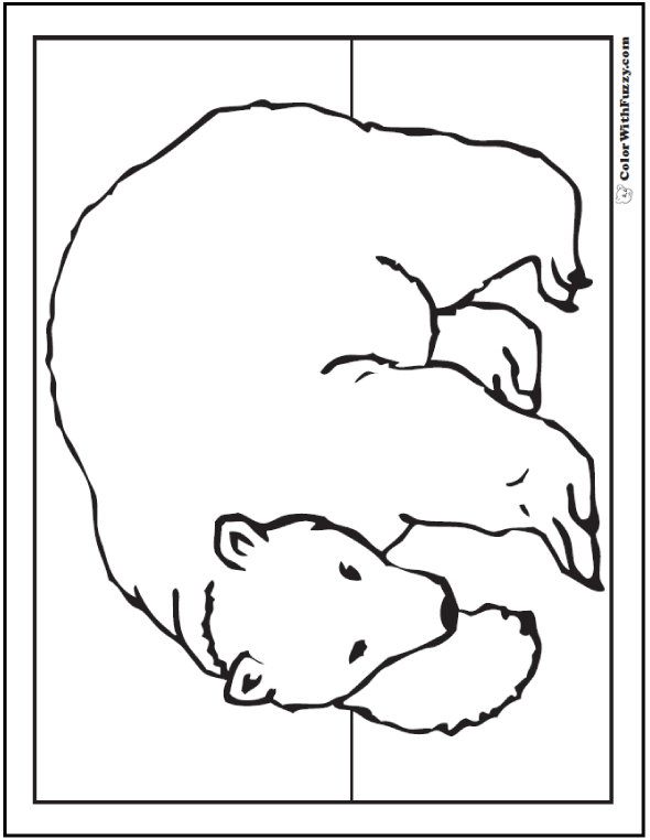 Polar bear drawing theme