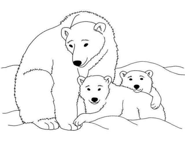 Best image of polar bear coloring pages