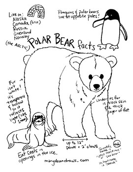 Fun facts about polar bears free hand