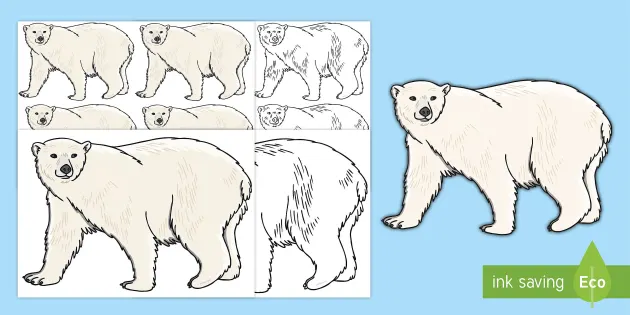 A polar bear template editable primary resources