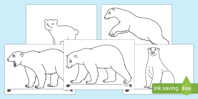 Polar bear outlines teacher made