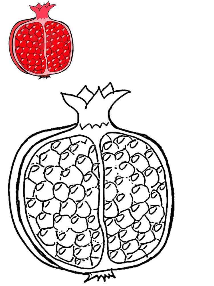 Pomegranate coloring pages