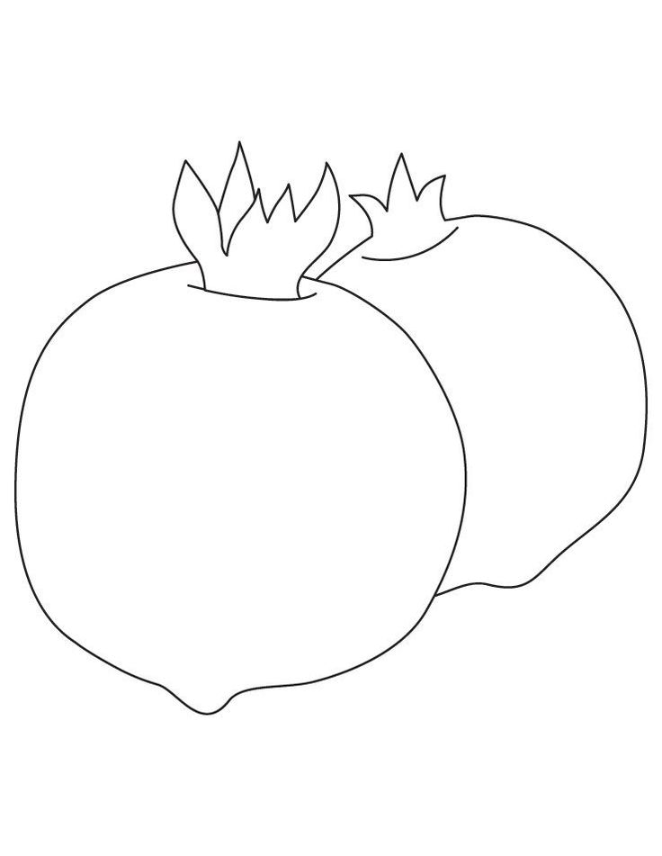 Colorful pomegranate coloring pages