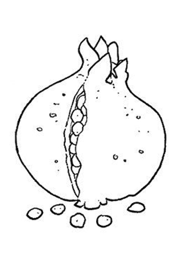 Coloring pages pomegranate coloring page for kids