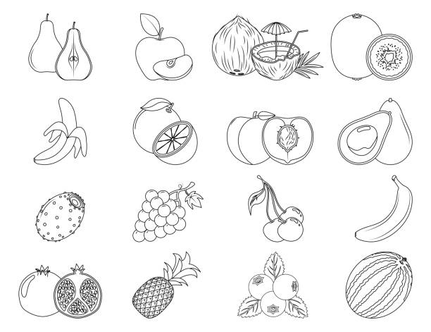 Coloring book fruits and vegetables pomegranate stock illustrations royalty