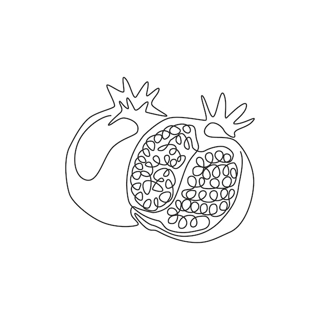 Pomegranate coloring pages vectors illustrations for free download