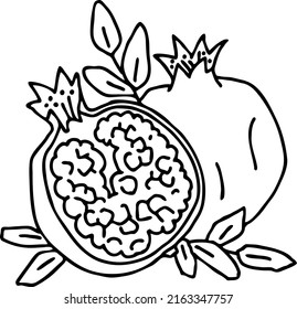 Black white illustration pomegranate coloring page stock vector royalty free