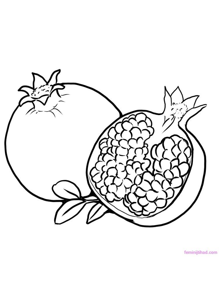 Pomegranate coloring image who doesnt know pomegranates this fruit which is identical to red and haâ fruit coloring pages coloring pages free coloring pages