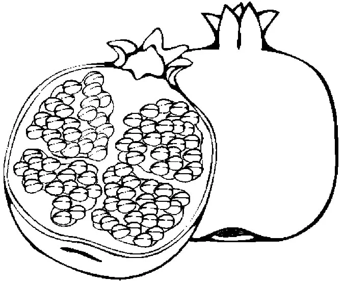 Coloring pages pomegranate printable for kids adults free to download