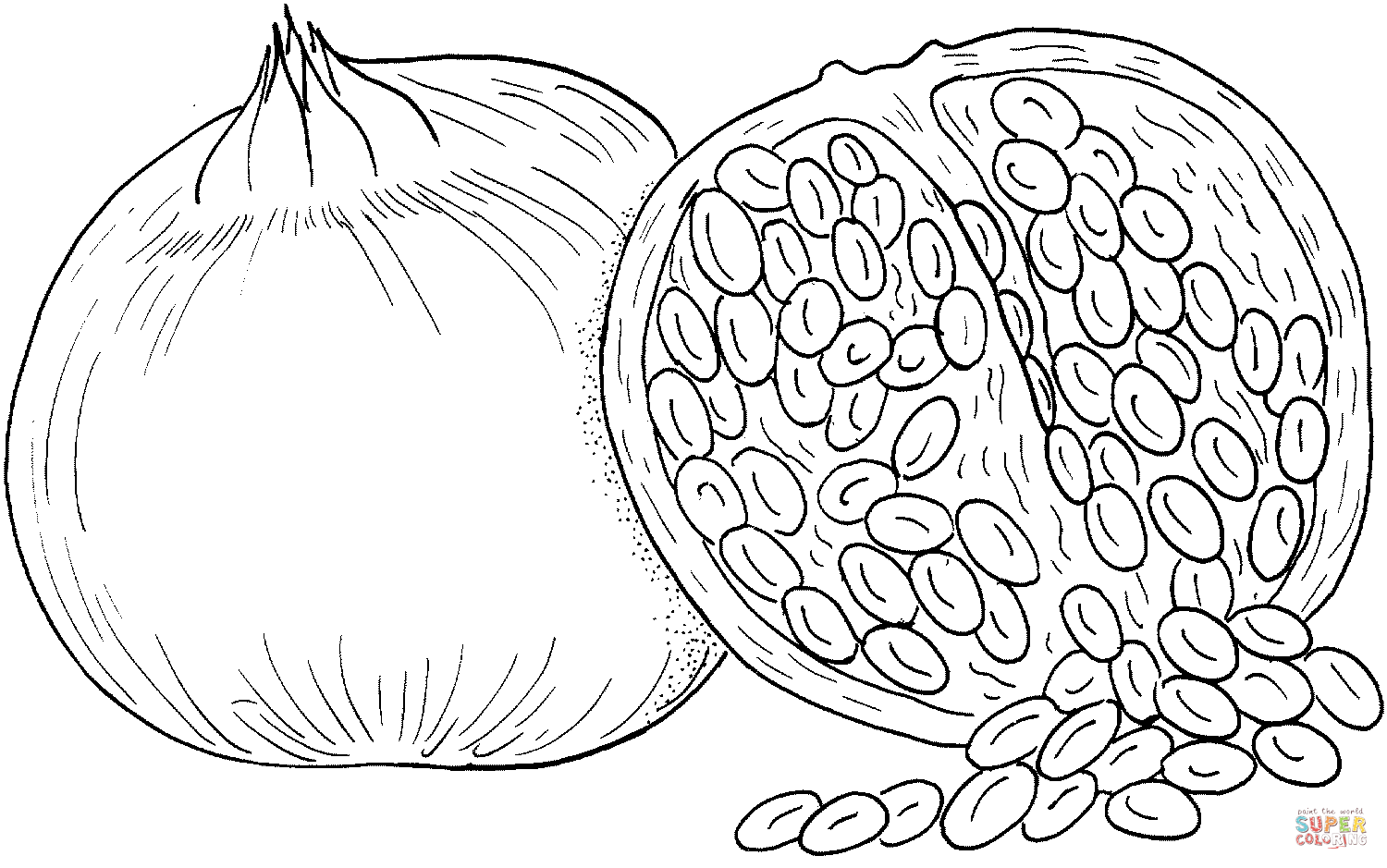 Pomegranate coloring page free printable coloring pages