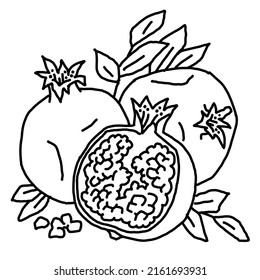 Black white illustration pomegranate coloring page stock vector royalty free