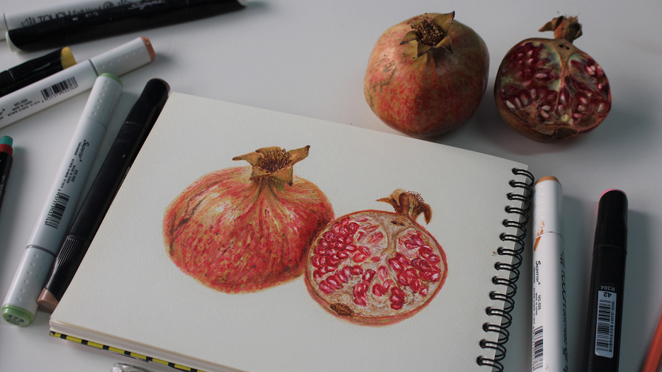 Make a pomegranate drawing in easy steps