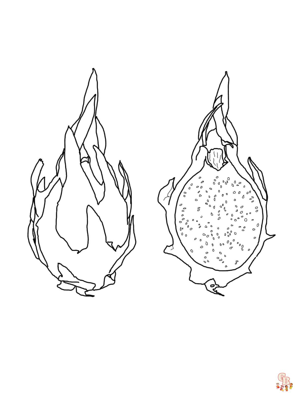 Dragon fruit coloring pages free printable pages for kids