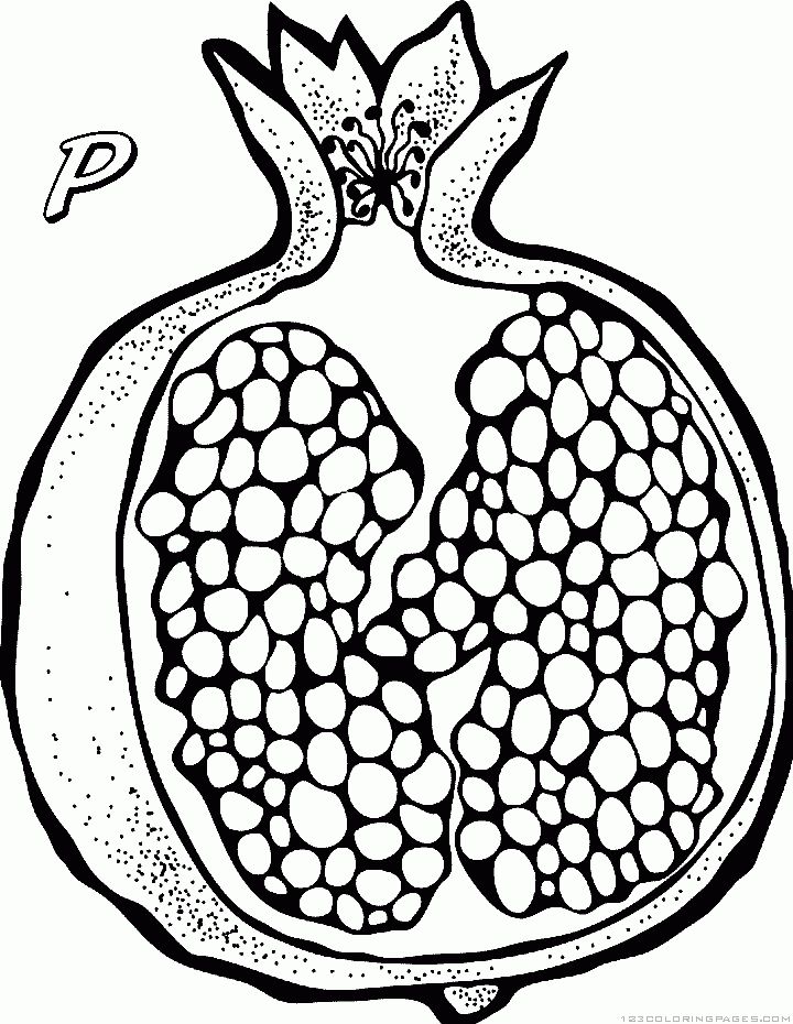 P for pomegranate coloring pages pomegranate art pomegranate print pomegranate