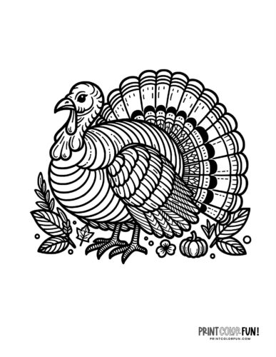 Terrific thanksgiving turkey coloring pages for some free printable holiday fun at