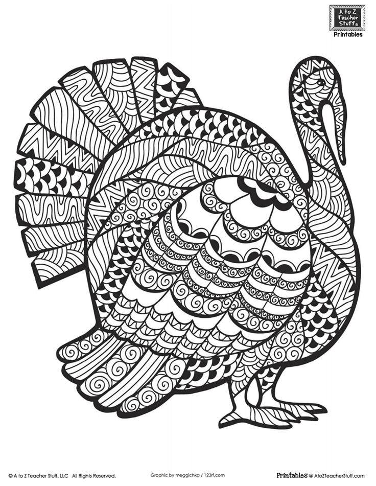 Detailed turkey advanced coloring page turkey coloring pages fall coloring pages coloring pages