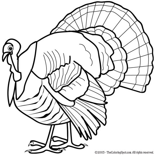 Turkey coloring page audio stories for kids free coloring pages colouring printables