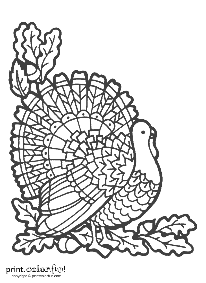 Colorful turkey print free printables and crafts