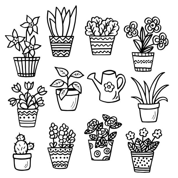 Coloring book flower in a pot stock illustrations royalty