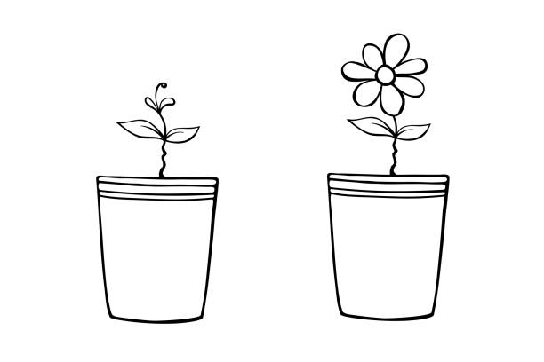 Flower pot coloring page stock illustrations royalty