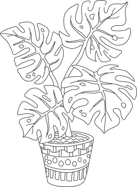 Flower pot coloring page stock illustrations royalty