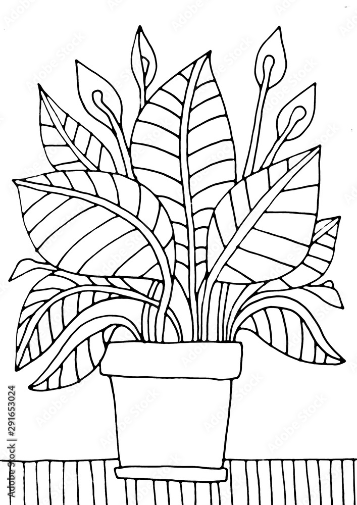 Flower with leaves in a pot coloring page hand drawing coloring book for children and adults beautiful drawings with patterns and small details one of a series of painted pictures illustration