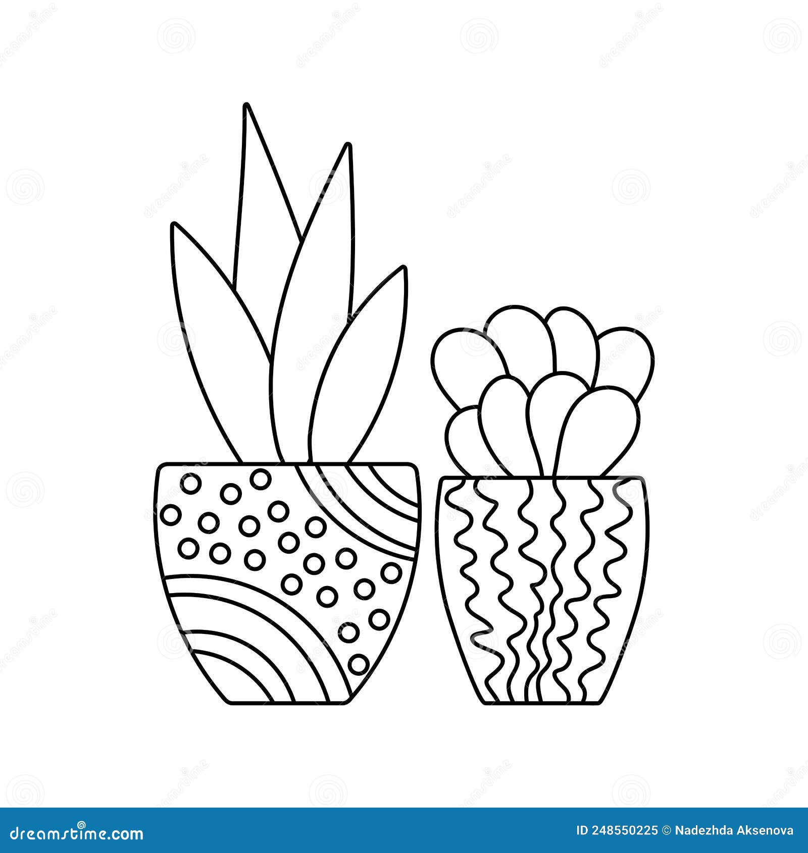 Succulent coloring book page for children house plants in pot on a white background isolated stock vector
