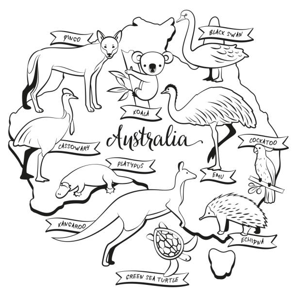 Animals and birds of australia coloring page stock illustration