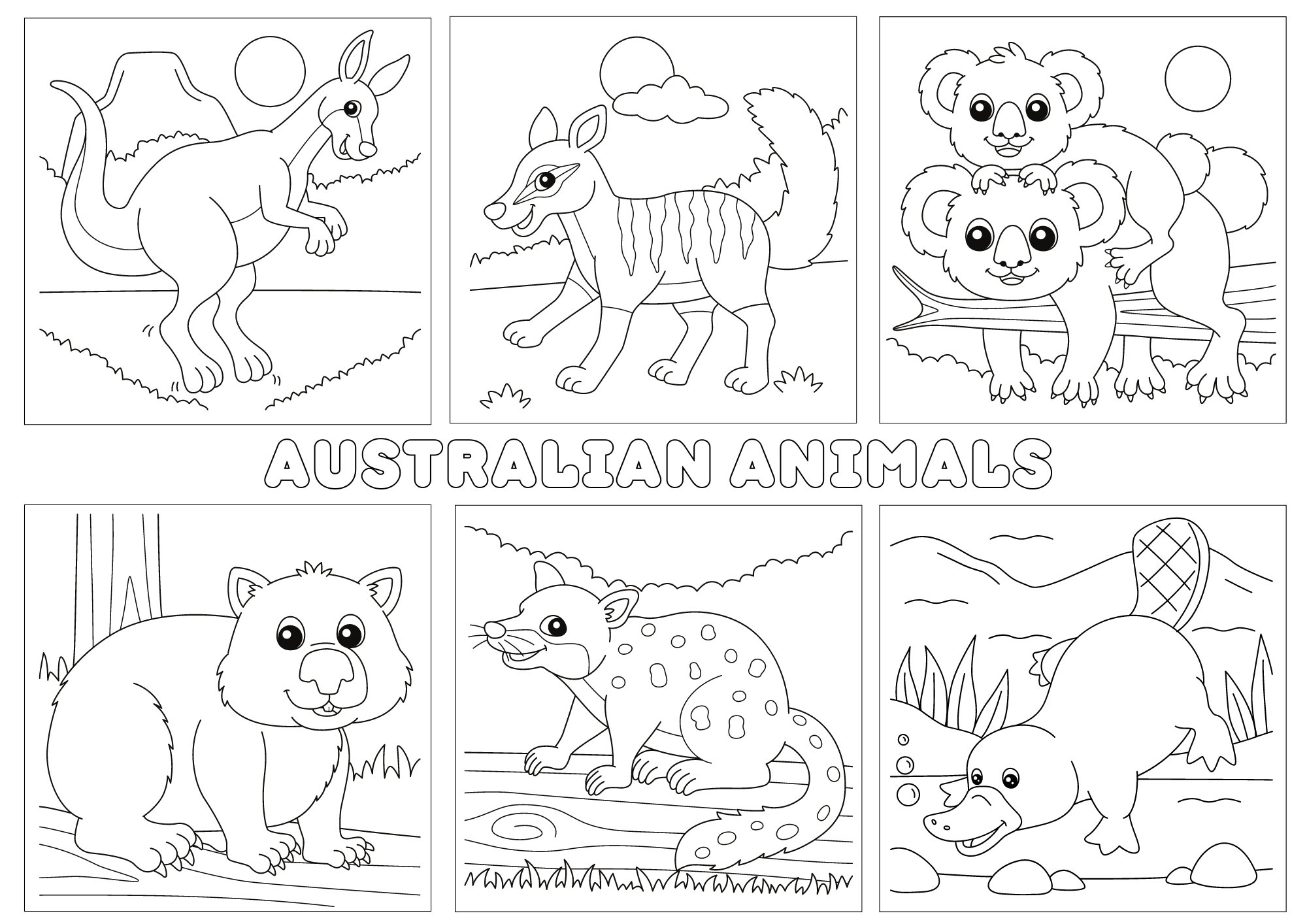 Native australian animals coloring pages australian animals printables australia mammals marsupials coloring coloring printables
