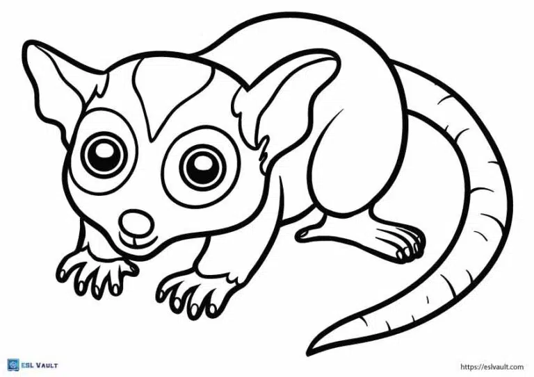 Free pdf australian animals coloring pages