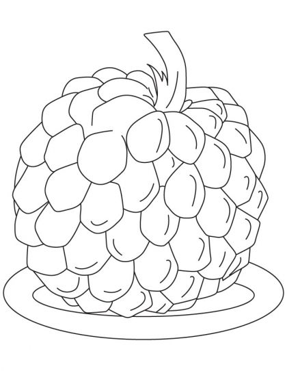 Not found apple coloring pages apple coloring fruit coloring pages