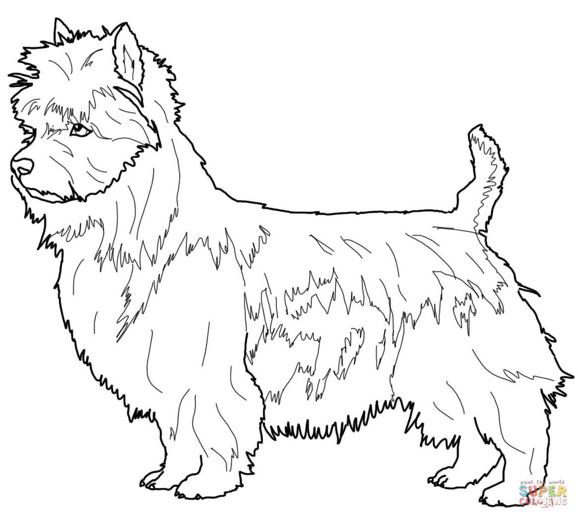 Australian terrier coloring page free printable coloring pages