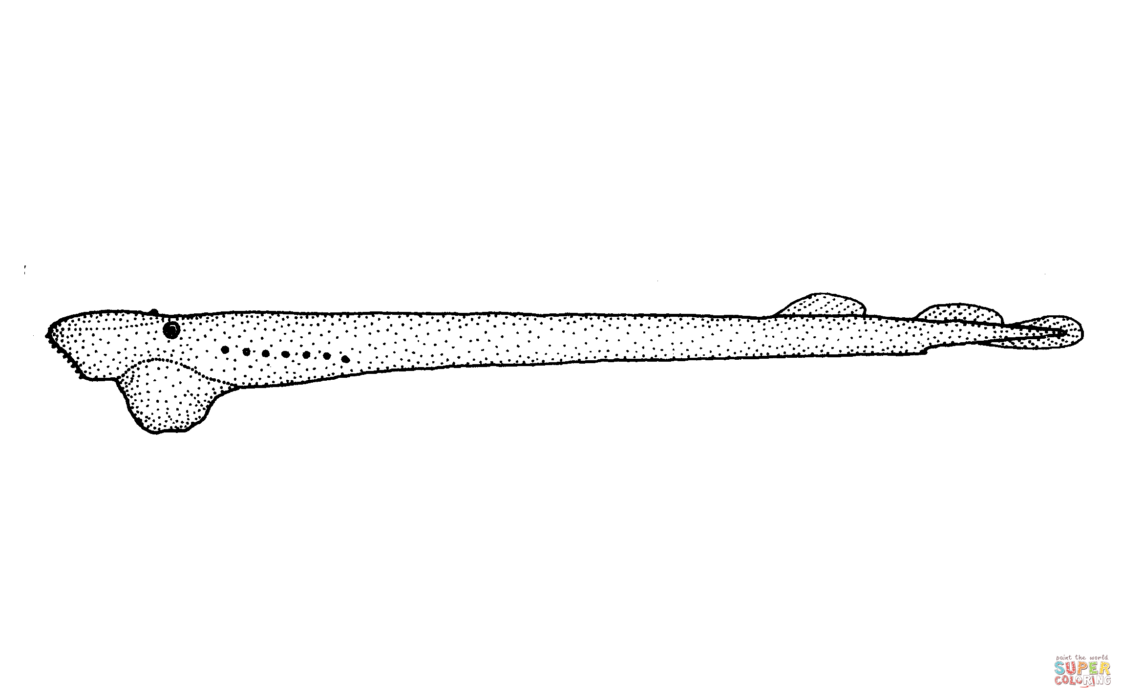 Geotria australis pouched lamprey coloring page free printable coloring pages
