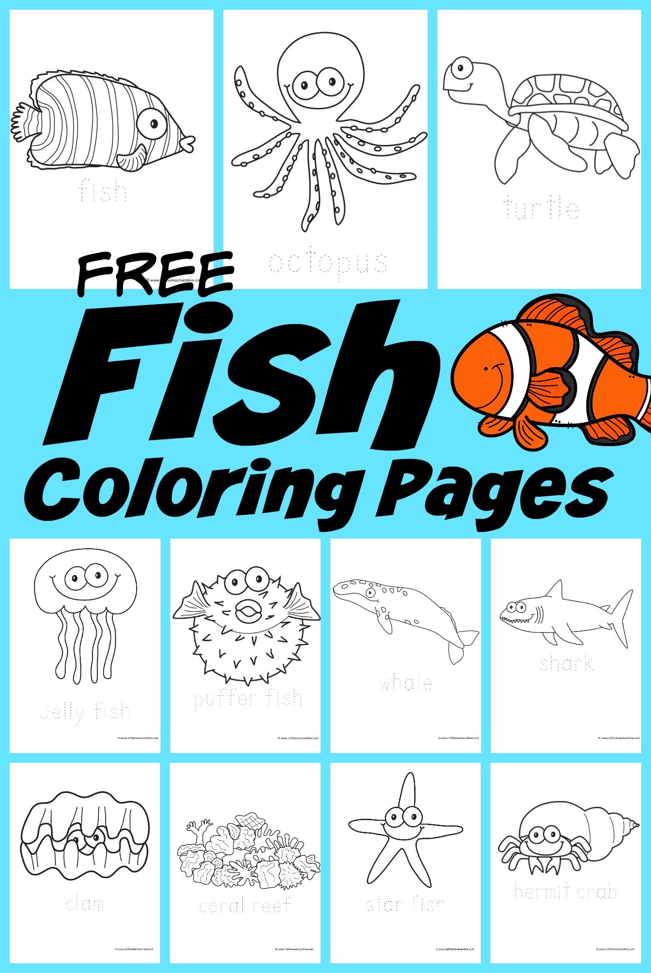 Free under the sea coloring pages
