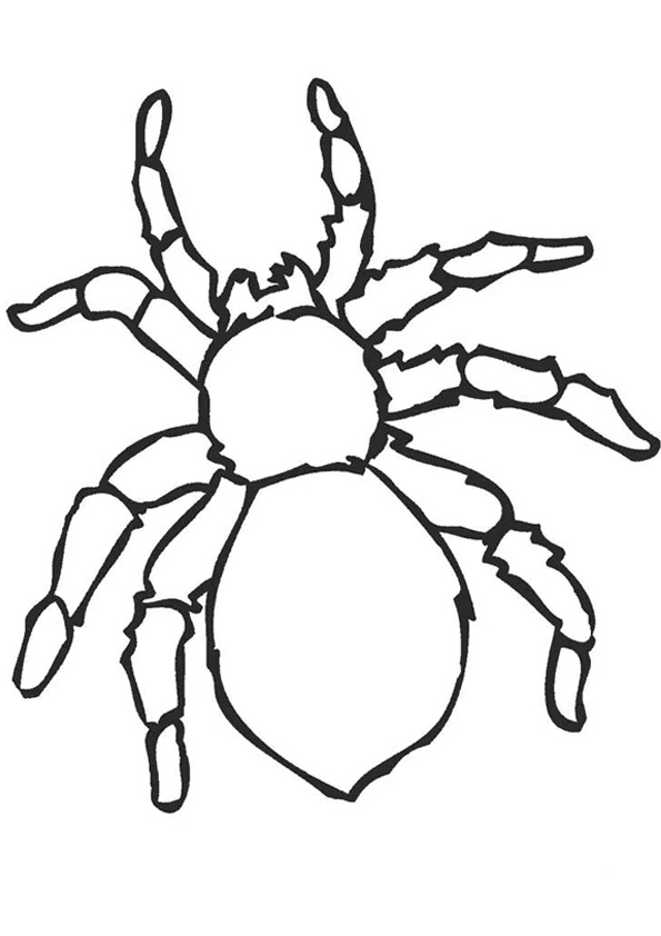 Coloring pages free spider coloring pages for kids