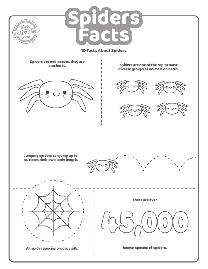 Fun spider facts for kids to print and learn kids activities blog