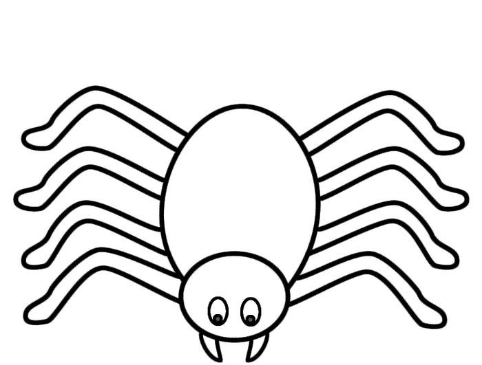 Funny spider coloring pages pdf to print