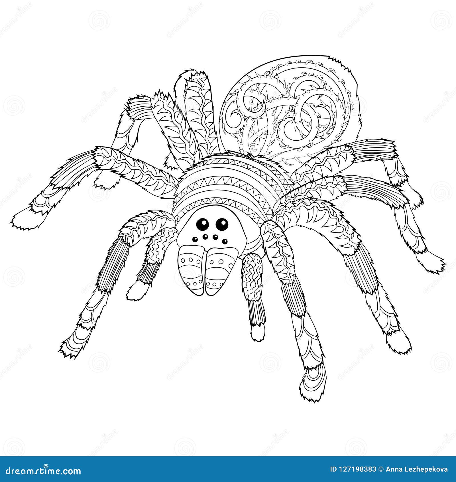 Spider coloring stock illustrations â spider coloring stock illustrations vectors clipart