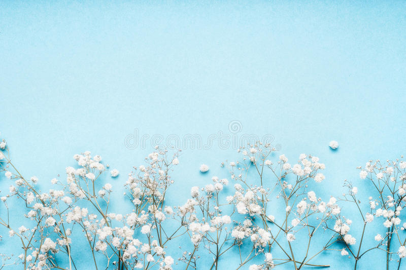 Little white gypsophila flowers on blue background pretty floral border top view copy space stock image