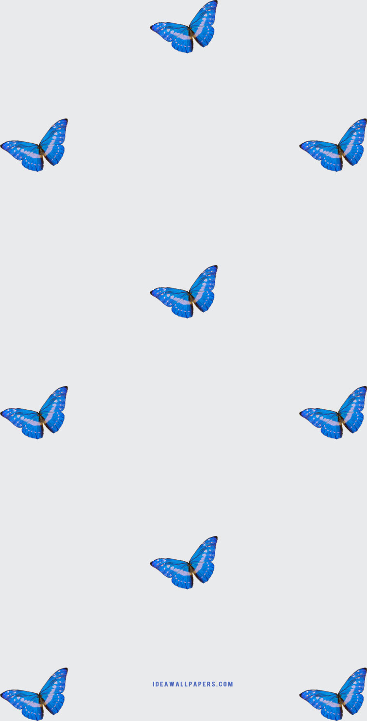 Iphone wallpaper pretty blue butterfly