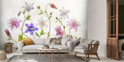 Columbine flowers wallpaper uk