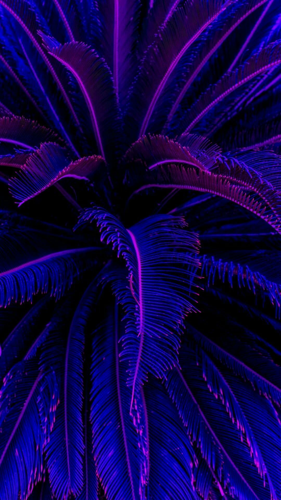 Neon blue aesthetic wallpapers for mobile