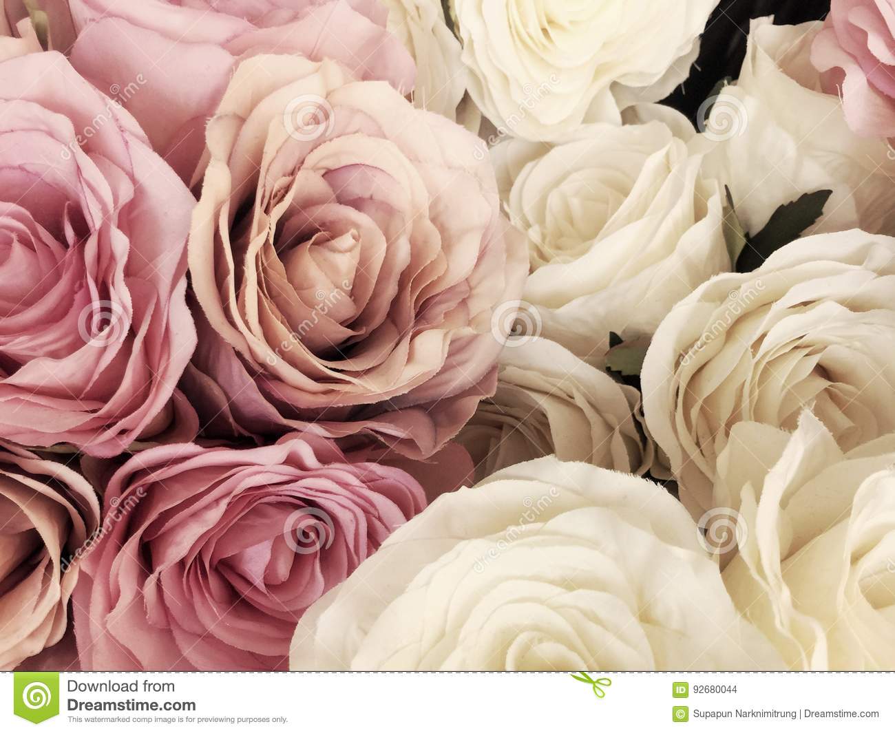 Beautiful vintage rose background white pink purple violet cream color bouquet flower elegant style floral stock photo