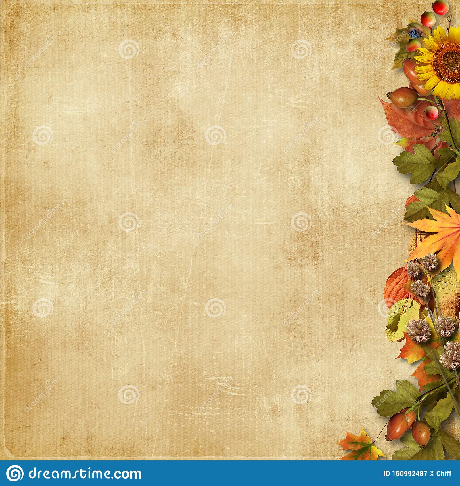 Vintage background with a beautiful border of autumn leaves stock image