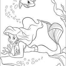 Flounder and ariel coloring pages