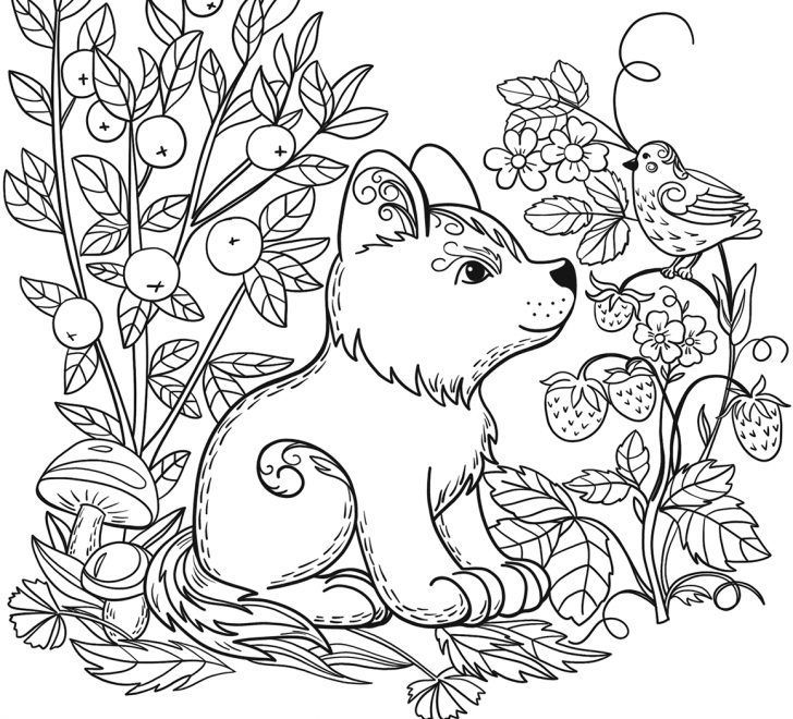 Amazing picture of printable animal coloring pages